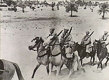 North African 1st Spahi Regiment in Egypt, 1941 Egypt - Free French Forces. A patrol of Spahis passing through a palm grove.jpg