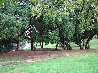 <span class="mw-page-title-main">Elizabeth Farm Reserve</span> Historic site in New South Wales, Australia