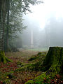 Obelisk im Eulbacher Park