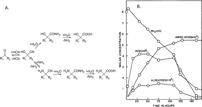  A figure with two panels labeled A and B. Panel A has the chemical synthesis scheme for cyanohydrin and Strecker synthesis, illustrating how hydrogen cyanide, water, and ammonia can react with a ketone or aldehyde to produce hydroxy acid (top) or amino acid (bottom), along with the intermediate species between. Panel B is a graph showing concentrations of ammonia, aldehydes, amino acids, and hydrogen cyanide against time. Ammonia starts out 80M and is steadily depleted throughout the course of the experiment. In the first 24 hours, 400M hydrogen cyanide is produced, before plateauing. Aldehydes reach 1000M in the similar timeframe, before plateauing. Amino acids are produced steadily throughout the experiment to a maximum concentration around 5000M. The plateau in amino acid concentration occurs around 125 hours into the experiment and coincides with sufficient depletion of aldehydes and hydrogen cyanide.
