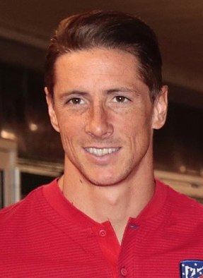 Fernando Torres Spanish footballer