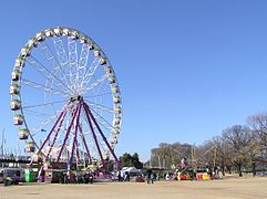 Ferris Wheel at Melbourne Queen's Park