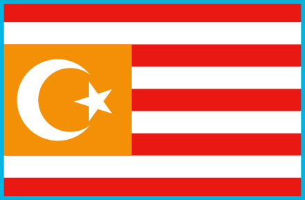 Flag of Turkestan used by the Basmachi