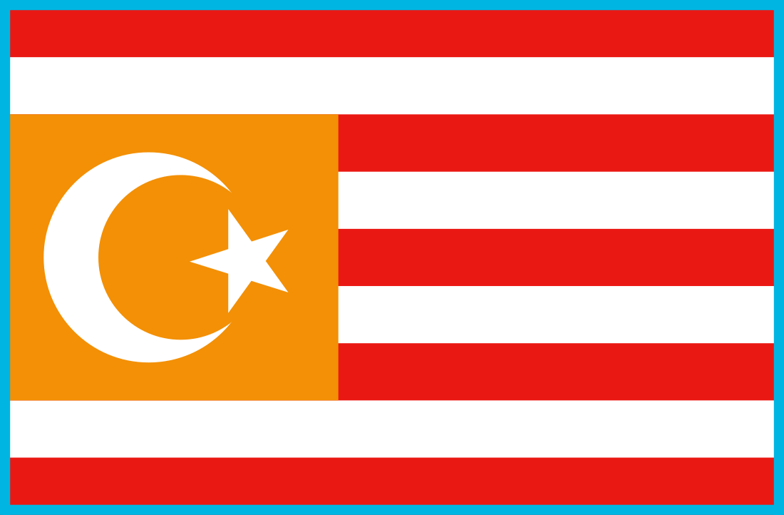 File:Flag of Turkestan.svg