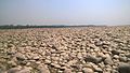 Ganga river stone.jpg