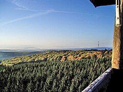 Blick nach Süden über den Binger Wald (2006)