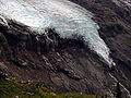 Roosevelt Glacier Terminus