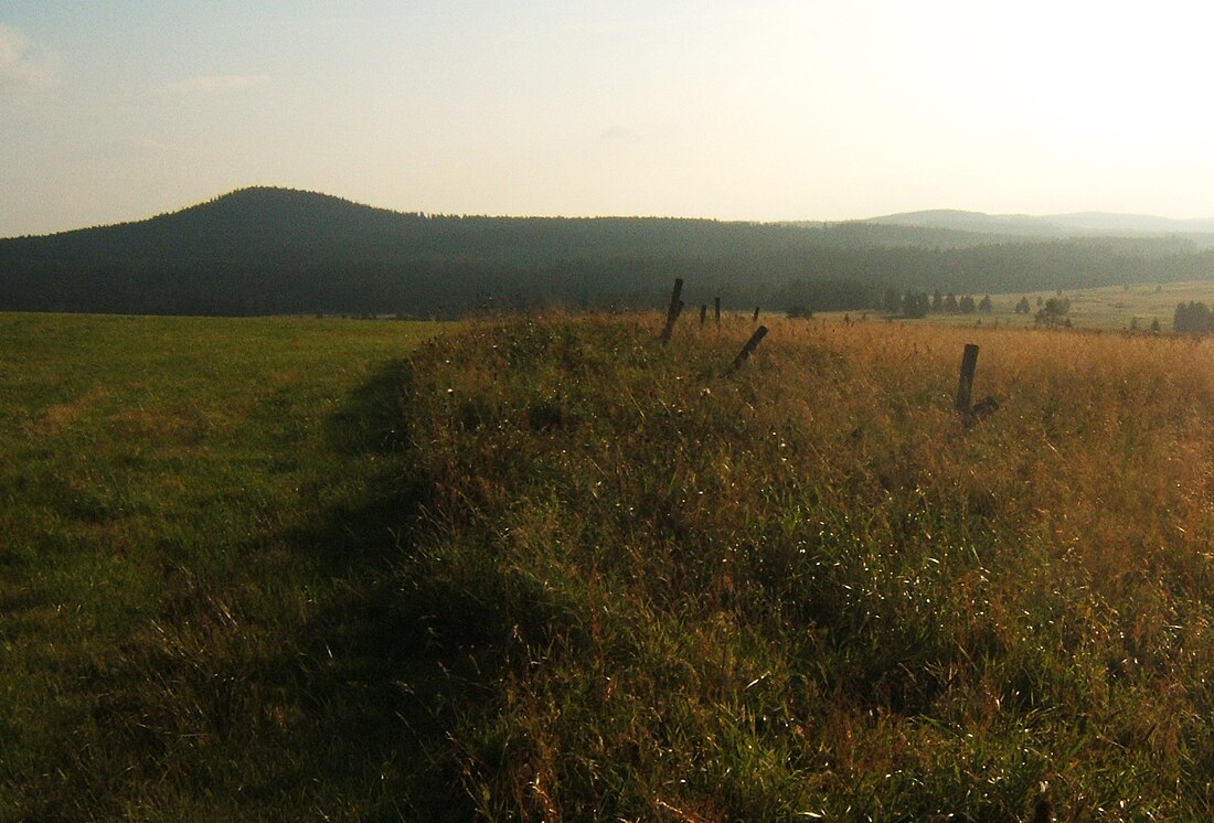 Božidarský Špičák