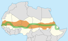 The Great Green Wall, participating countries and Sahel. In September 2020, it was reported that the GGW had only covered 4% of the planned area. Great green wall map.svg