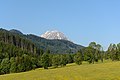 * Nomination The Grimming mountain viewed from Wörschachwald, Styria --Uoaei1 03:51, 22 June 2015 (UTC) * Promotion Good quality.--Johann Jaritz 03:59, 22 June 2015 (UTC)