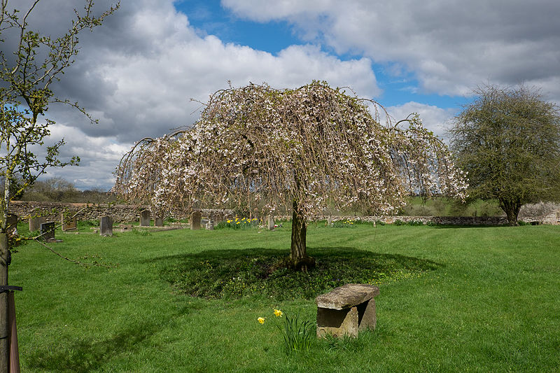 File:Grounds of St. Giles Church, Chesterton.jpg