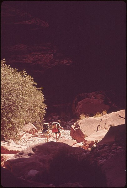 File:HIKERS ENTERING THE GRAND CANYON - NARA - 544305.jpg