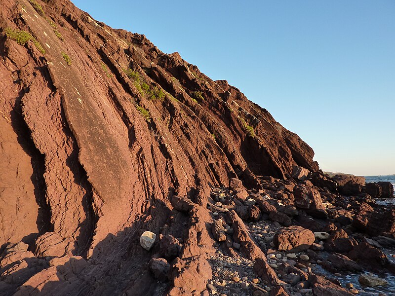 File:Hallett Cove Conservation Park P1000924.jpg