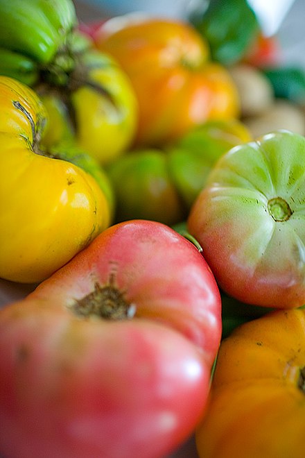 Tomates de variétés patrimoniales