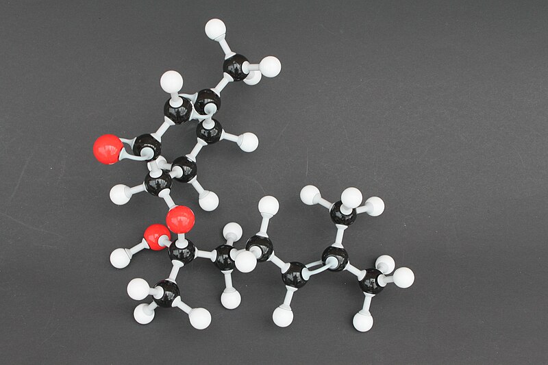 File:Hernandulcin Molekülbaukasten 9668.JPG