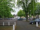 Old linden and horse chestnuts on the cattle market square