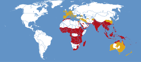 Distribution. The delineation between resident and migrant ranges cannot be clearly defined in North Africa and Europe Hippotion celerio distribution map.svg