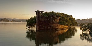 <span class="mw-page-title-main">Homebush Bay</span> Suburb of Sydney, New South Wales, Australia