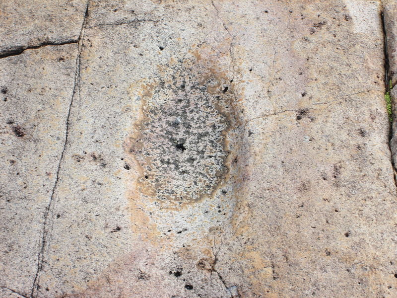 File:Huerfano Butte Arizona Bedrock Metate.jpg