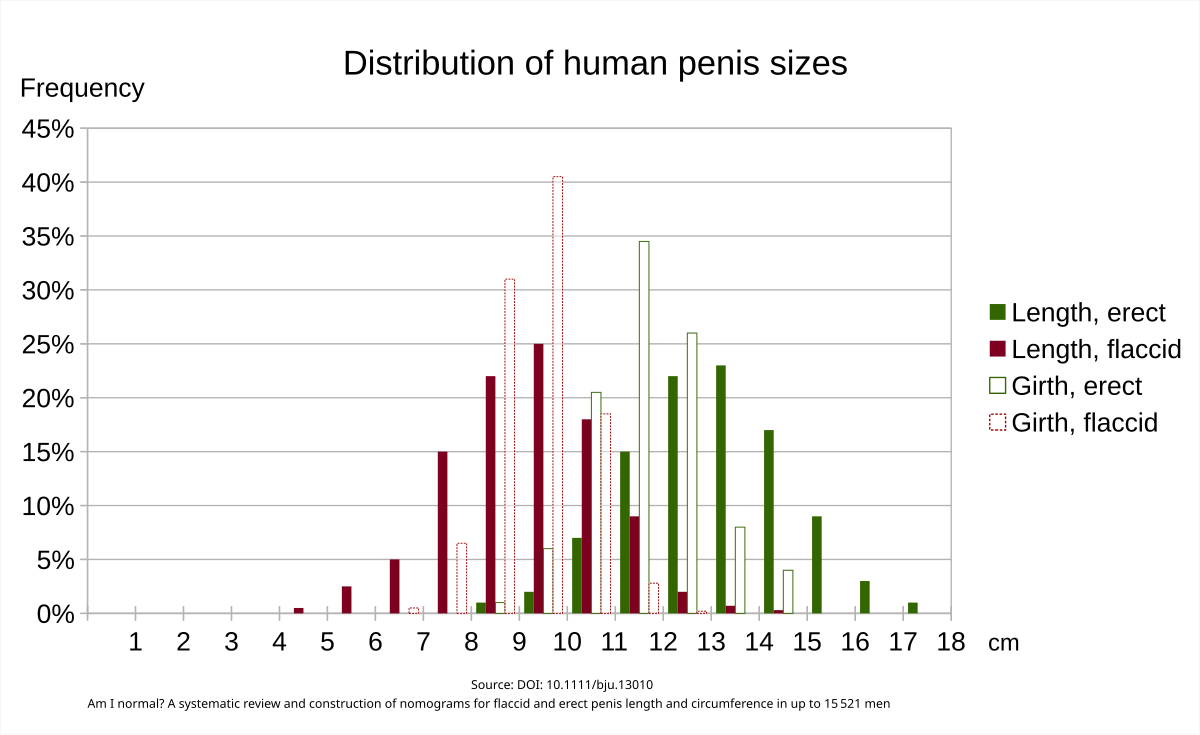 File:Human penis sizes.svg - Simple English Wikipedia, the free encyclopedia