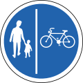 Separate lanes for pedestrians and bikes
