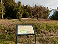 池尻大塚古墳の遠景。