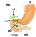 胰腺炎的缩略图