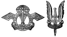Indian Parachute Regiment Insignia and PARA (SF) Battalion Insignia.jpg