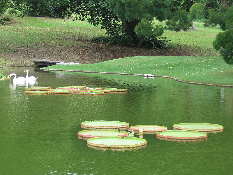 File:Istana 4, Singapore, Jan 06.JPG