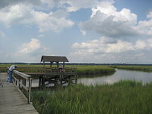 Dock with surrounding marshes on James Island