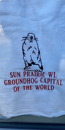 Jimmy the Groundhog paraphernalia being sold in Sun Prairie during the Groundhog's day celebration Jimmy towel.jpg