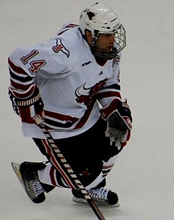 Joey Martin (ice hockey) Canadian ice hockey player