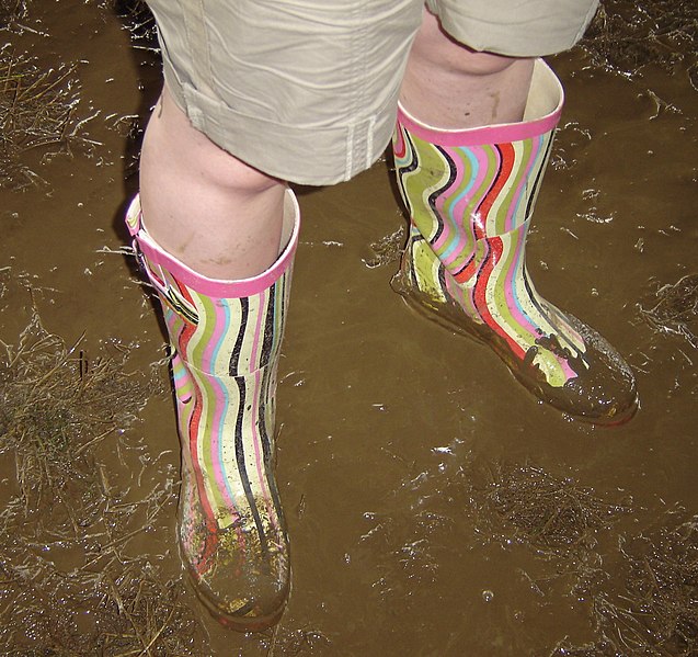 File:John Peel Stage under-foot conditions claggy (323808261).jpg