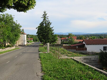 Kacice Pared Slovenia 2