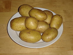 Kartoffeln der Sorte Marabel.JPG