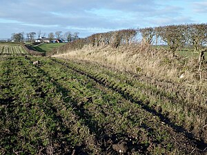 Discarded field stones at the presumed location of Kilmaurs Castle