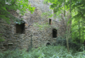 English: Burg Lehrbach (Burg Ruin), Lehrbach, Kirtorf, Hesse, Germany