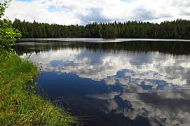 Kurtna Saarejärv Kurtna järvestikus Kurtna maastikukaitsealal