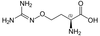 <span class="mw-page-title-main">Canavanine</span> Chemical compound