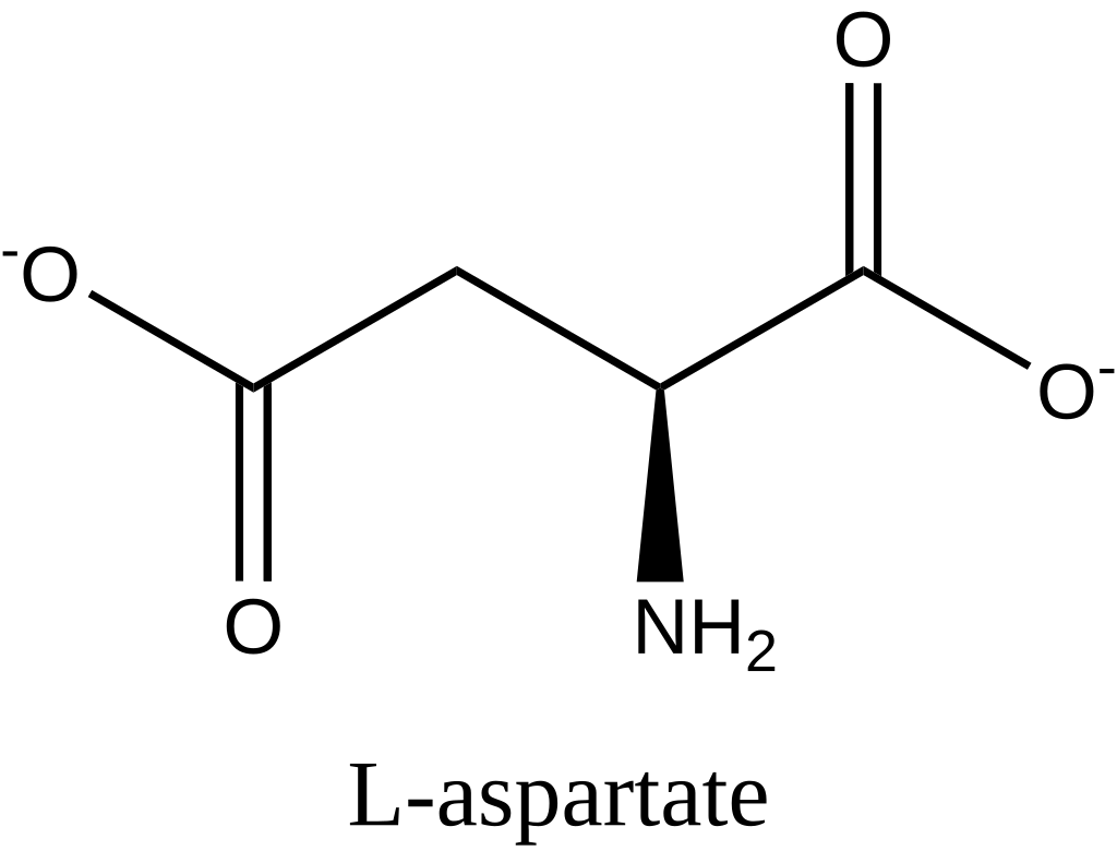 Формула кальция лактата. Лактат кальция формула структурная. Аспартат и аспарагиновая кислота. Аспартат в аспарагин.