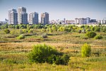 Thumbnail for Văcărești Nature Park