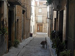 Vista de una calle de la localidad