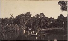 Albumen silver photograph taken by Captain Samuel Sweet at the lake in the Adelaide Botanic Gardens Lake at the Adelaide Botanic Gardens.jpg