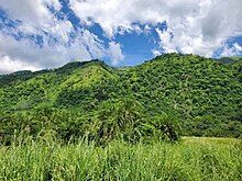 Landscape view at the Semuliki National Park located in the remote part of Bundibugyo District in Western Uganda.