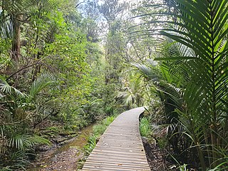 <span class="mw-page-title-main">Le Roys Bush</span> Forest on the North Shore, New Zealand