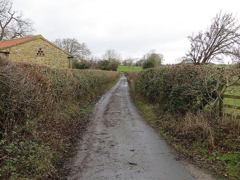 File:Lilly Gate Lane at Brearton - geograph.org.uk - 6015046.jpg