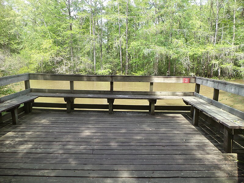 File:Little River Trail 16 overlook, Reed Bingham Park.JPG