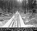 Log chute, Washington, ca 1898 (INDOCC 415).jpg