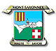 蒙萨克索内徽章