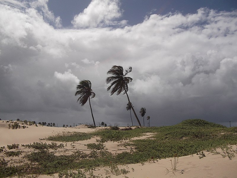 File:Macaíba - State of Rio Grande do Norte, Brazil - panoramio.jpg